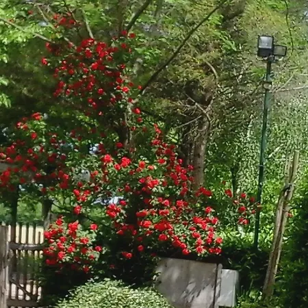 Agriturismo Praetto Country house *